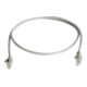 Telegärtner Câble de raccordement Cat5 0,5 m gris U/UTP, PVC 100008184