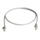 Telegärtner Câble de raccordement Cat5 2,0 m gris U/UTP PVC