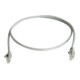 Telegärtner Câble de raccordement Cat5e 10,0 m gris U/UTP PVC