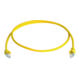 Telegärtner Câble de raccordement S/FTP 6A, 1,0 m 100007977