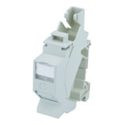 Telegärtner Connecteur rail porte-modules TS45 Cat6A T568B 100023004-1