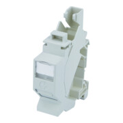 Telegärtner Connecteur rail porte-modules TS45 Cat6A T568B 100023004-5