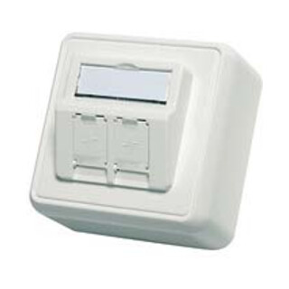 Telegärtner Module d'encastrement en saillie 80x80 2 fois vide aws 100021382