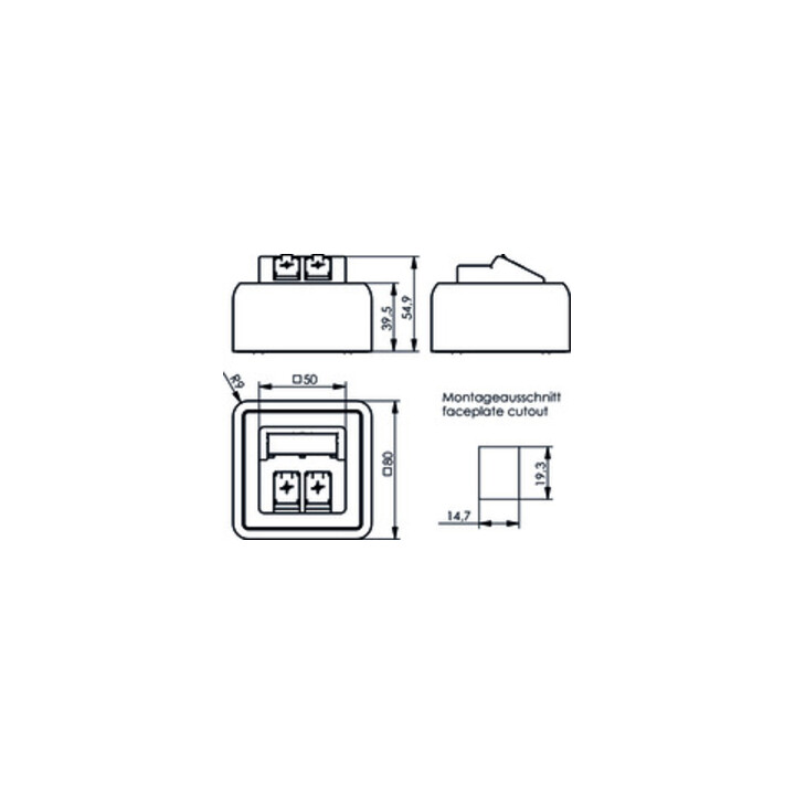 Telegärtner Module d'encastrement en saillie 80x80 2 fois vide aws 100021382