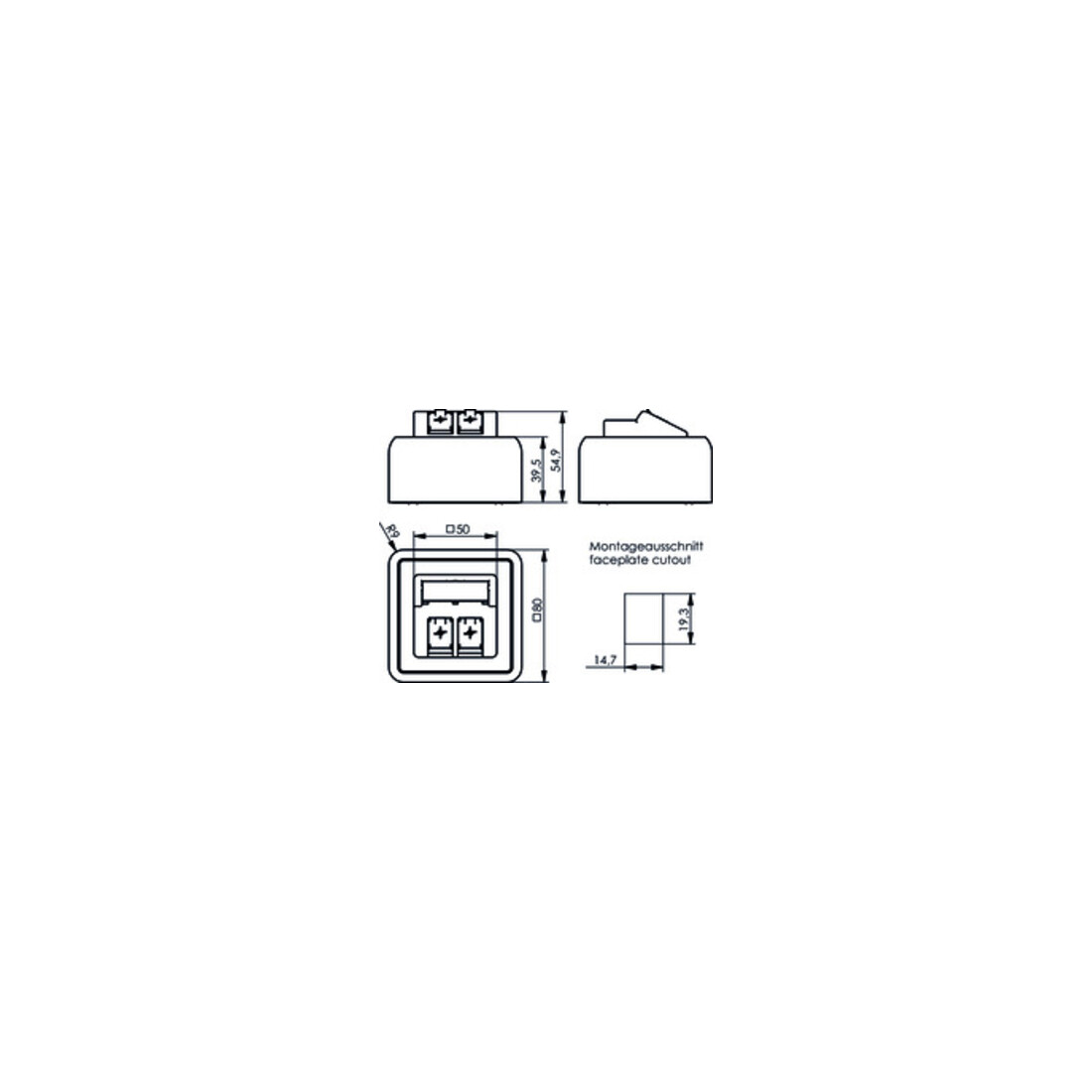 Telegärtner Module d'encastrement en saillie 80x80 2 fois vide aws 100021382