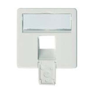Telegärtner Plaque centrale complète 50x50 apws, pour AMJ45 8 UP/0 100020623