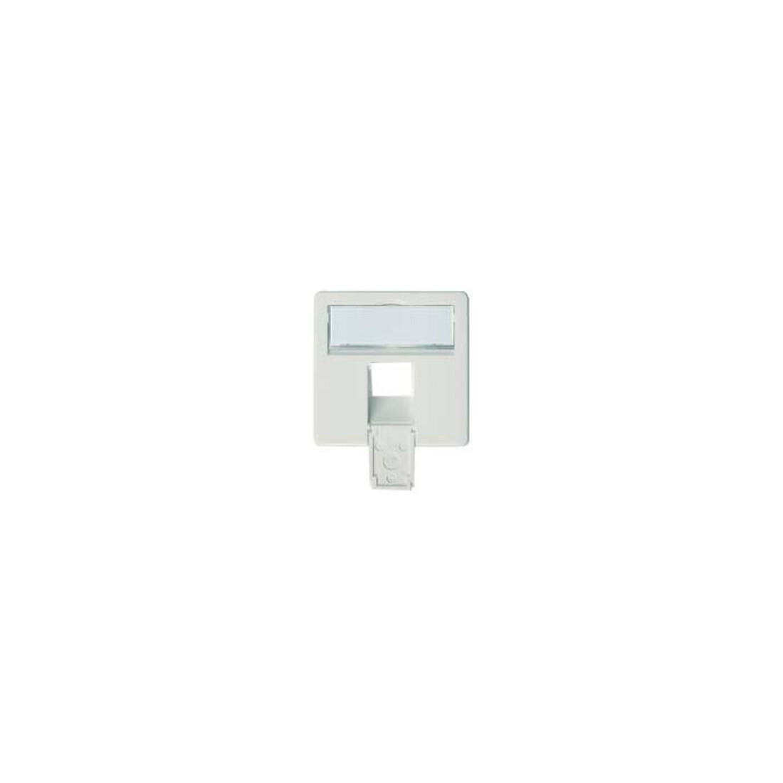 Telegärtner Plaque centrale complète 50x50 apws, pour AMJ45 8 UP/0 100020623