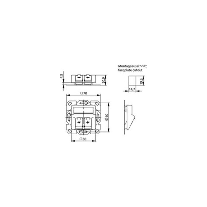 Telegärtner Support de module 2x encastré/50 aws en saillie 100021417