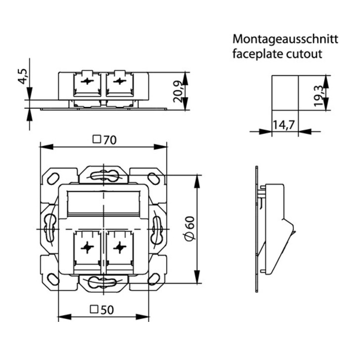Telegärtner Support de module 2x encastré/50 aws en saillie 100021417