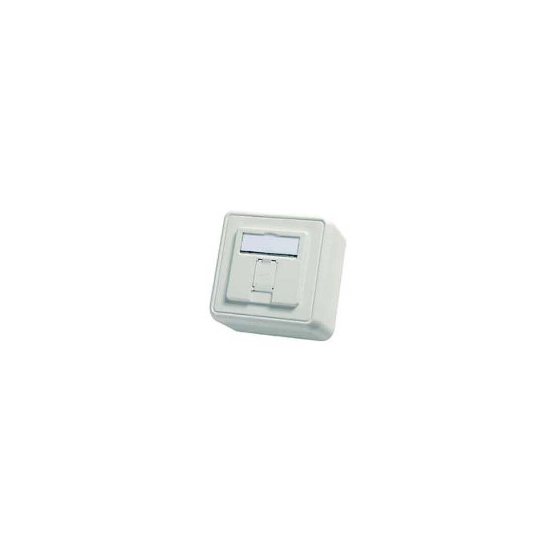 Telegärtner Support de module AP 80x80 1 voie aws vide 100021381