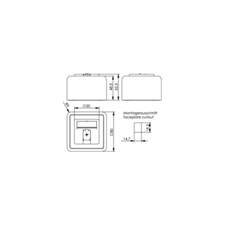 Telegärtner Support de module AP 80x80 1 voie aws vide 100021381