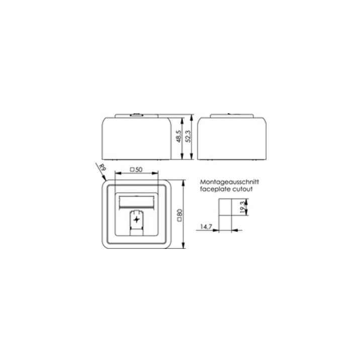 Telegärtner Support de module AP 80x80 1 voie aws vide 100021381