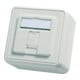 Telegärtner Support de module AP 80x80 1 voie aws vide 100021381
