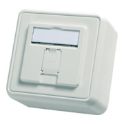 Telegärtner Support de module AP 80x80 1 voie aws vide 100021381-5
