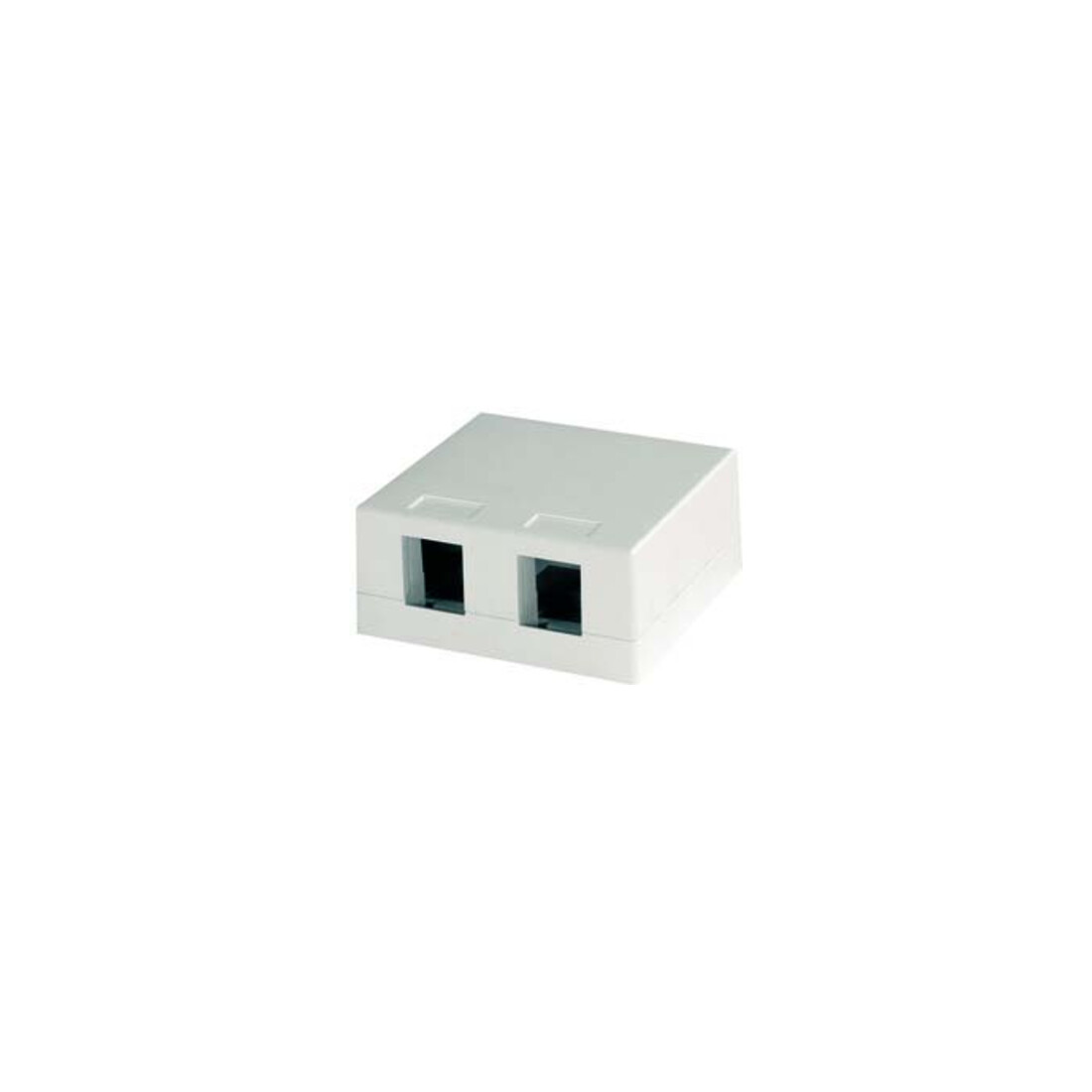 Telegärtner Support modulaire 2 voies 68x64, aws 100021397