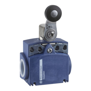 Telemechanique Sensors Positionsschalter XCKT2118G11