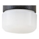 Tête en laine d'acier pour maillet anti-rebond 10959 D.40 mm 38 g-1