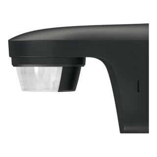 Theben Détecteur de mouvement portée 12 m, noir, 180° theLuxa S180 BK