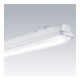 Thorn Luminaire LED pour locaux humides AQFPRO L 4000K IP66 28W 1600 x 92 x 90 mm