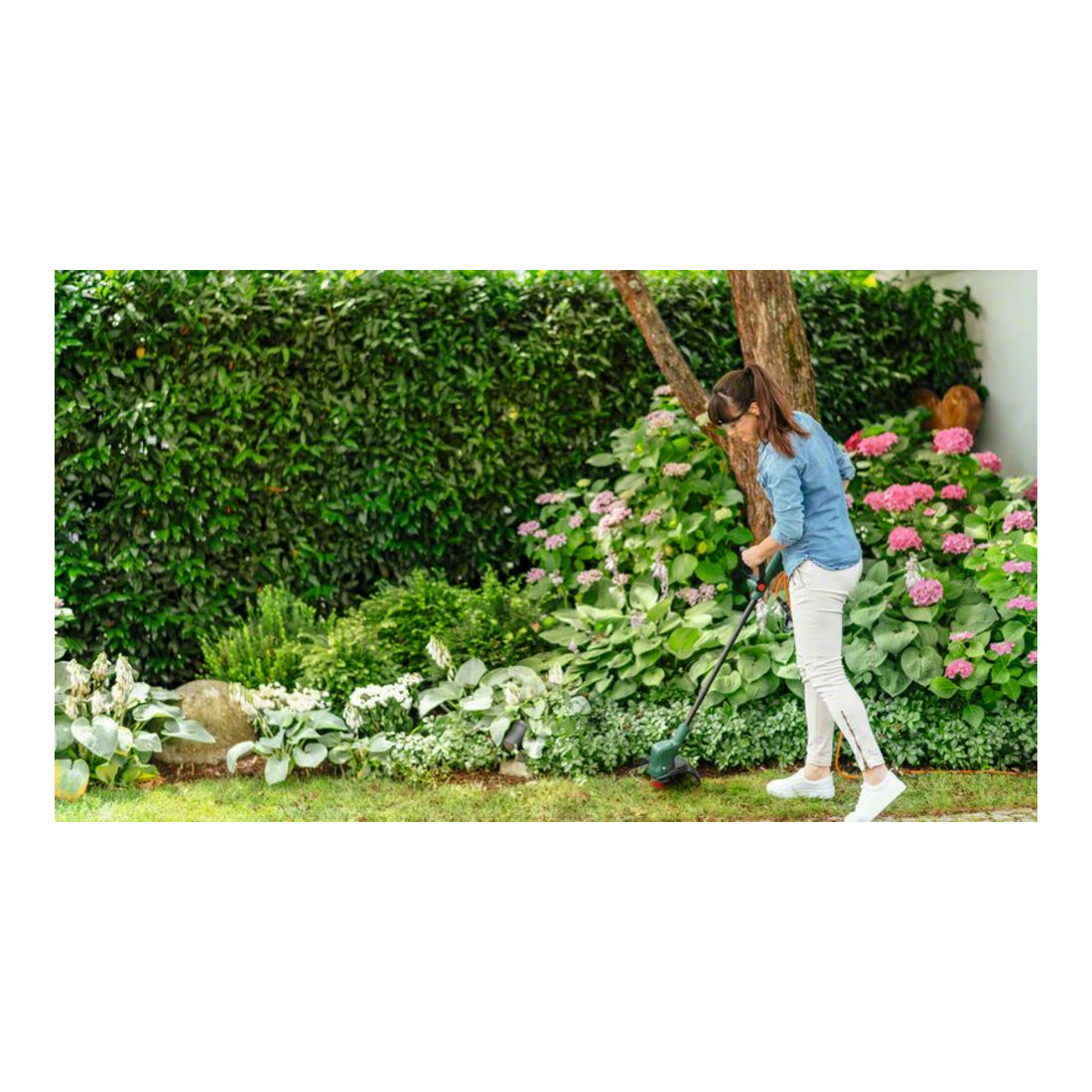 Tondeuse à gazon sans fil 18V Lawncare Set Bosch