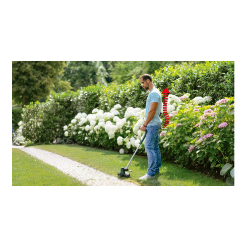 Tondeuse à gazon sans fil Bosch UniversalGrassCut 18