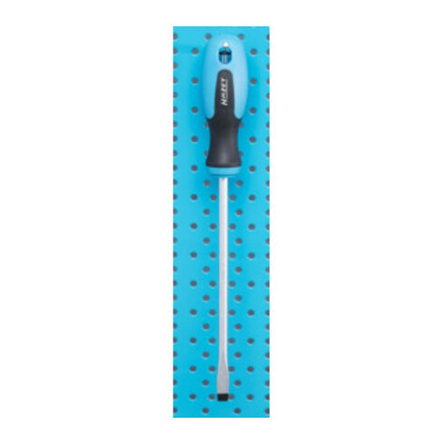 Tournevis 810-25 0.4 x 2.5 mm HAZET