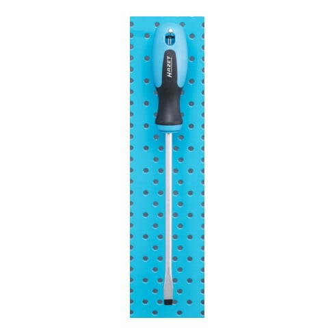 Tournevis HAZET 810 Profil TORX® interne