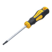 Tournevis profil en T (pour TX) T25 longueur de la lame 100 mm BGS Do it yourself-1