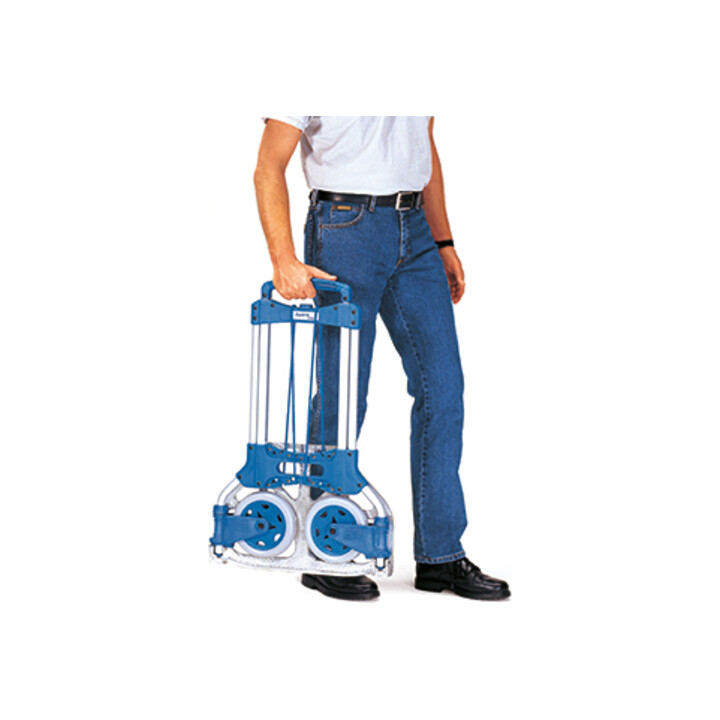 Set fetra Alu-Kompaktkarre "Wuppi" + Transportkarre klappbar Trgf. 125kg