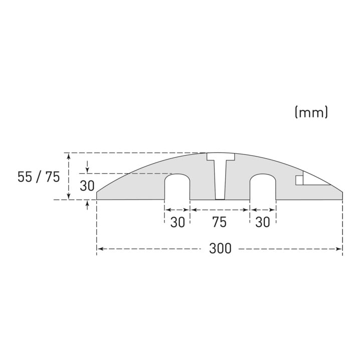 EasyRide Seuil de chaussée élément standard 300 x 1800 x 55 mm noir-jaune