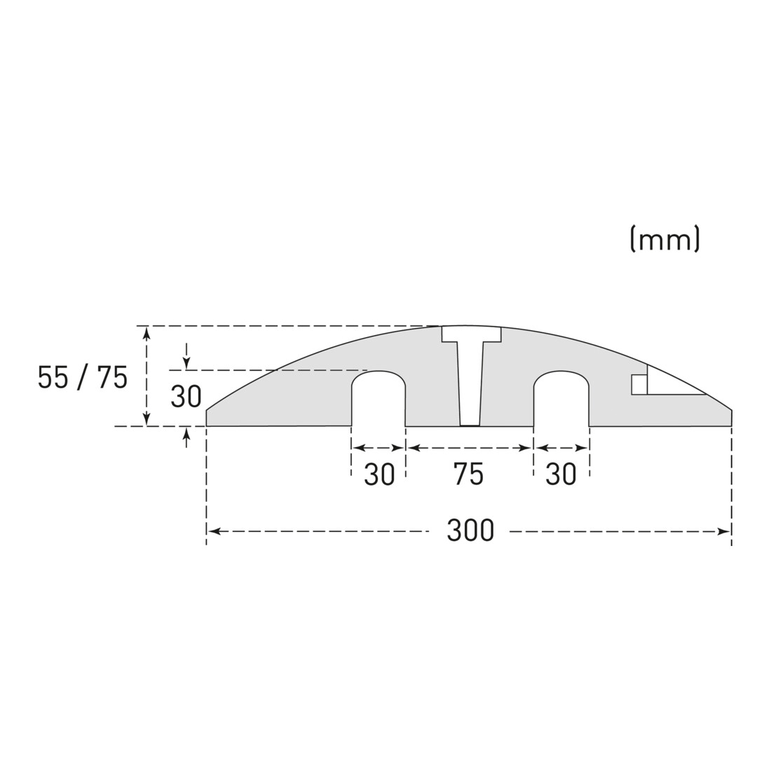 Traverse Moravia EasyRider-55 élément standard 1800 x 300 x 55 mm