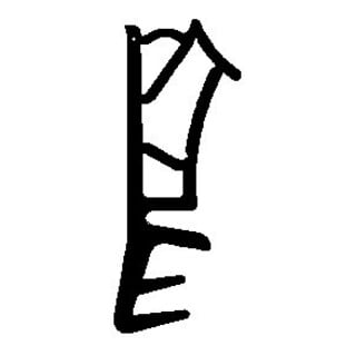 TRELLEBORG Haustür-Dichtung SH118,TSP-LAN schwarz