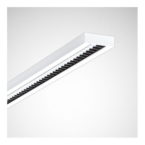 Trilux Anbauleuchte 3300-840 ET 5041RPX-L#6199040