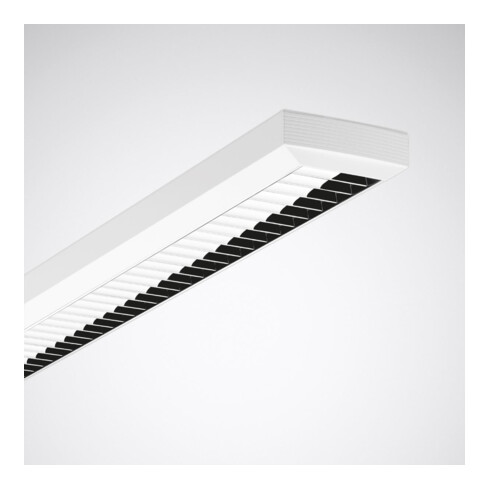 Trilux LED-Rasteranbauleuchte RPV1500 5200-840ETDD Atirion D-L#6634651