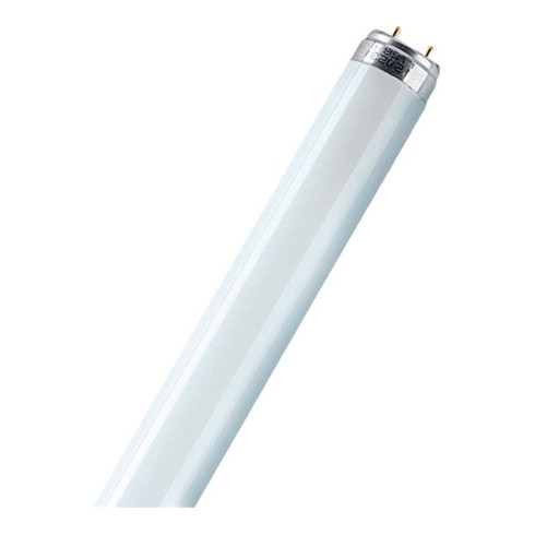 Tube fluorescent Lumilux 36W blanc froid 3350Lm L.120cm d. du tube 26mm 20000h E