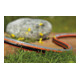 Tuyau Comfort FLEX GARDENA 9x9 13 mm (1/2"), 50 m sans objet