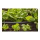 Tuyau de pose 13 mm (1/2"), rouleau de 15 m GARDENA Système Micro-Drip