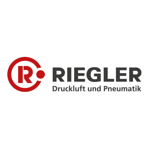 RIEGLER tuyau d'air comprimé PA 12 HIPHL L.25m