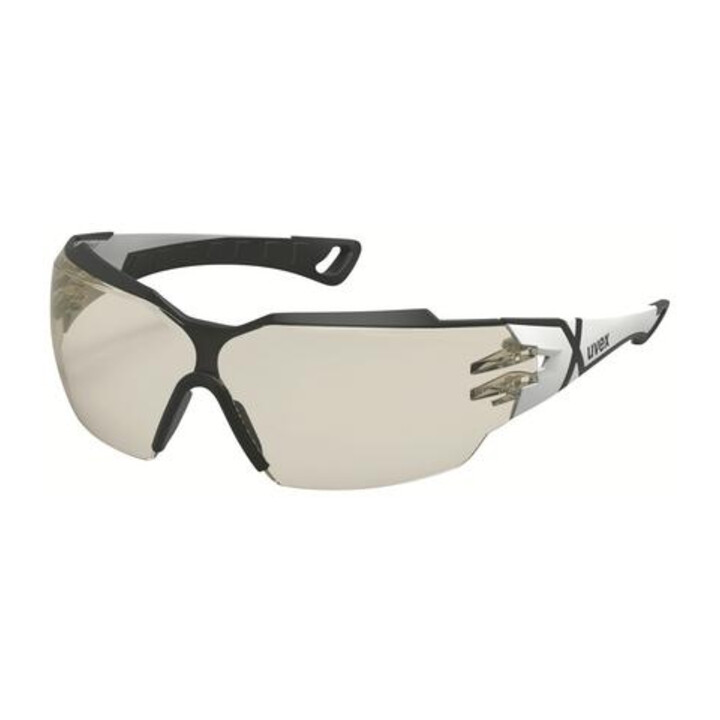 uvex Comfort-veiligheidsbril uvex pheos cx2, Tint: CBR