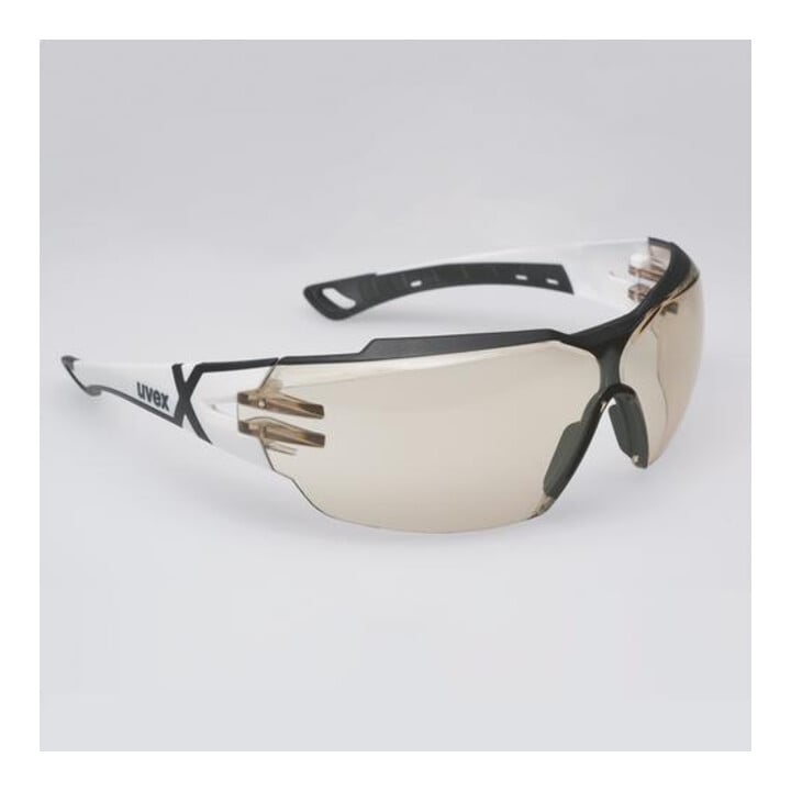 uvex Comfort-veiligheidsbril uvex pheos cx2, Tint: CBR