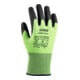 Uvex Coppia di guanti uvex C500 foam, taglia guanti: 7-1