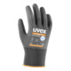 Uvex Handschuh-Paar uvex phynomic lite, Handschuhgröße: 11-1