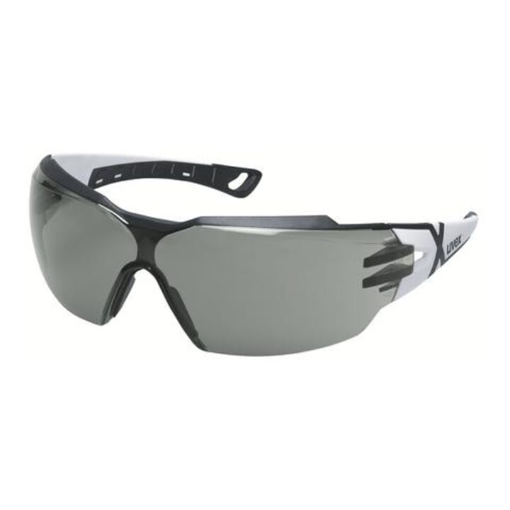 uvex Komfort-Schutzbrille uvex pheos cx2, Scheibentönung: GREY
