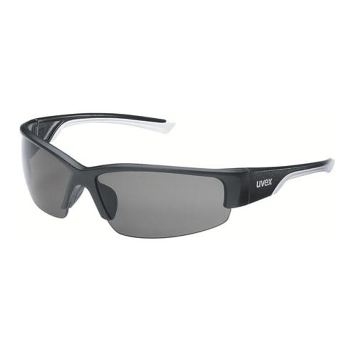 uvex Komfort-Schutzbrille uvex polavision, Scheibentönung: POLAR