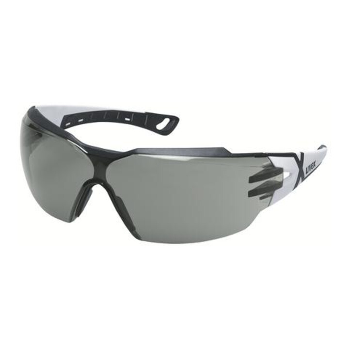 uvex Lunettes de protection confort uvex pheos cx2, Teinte des verres: GREY