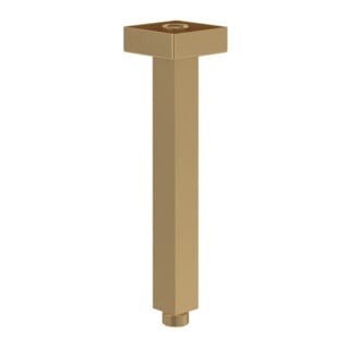 V&B Brausearm Universal Showers eckig, Deckenmontage, brushed gold