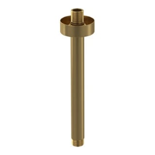 V&B Brausearm Universal Showers rund, Deckenmontage, brushed gold