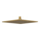 V&B Kopfbrause Universal Showers 250x250mm, eck., Deckenmon., brush. gold-1