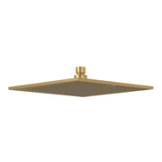 V&B Kopfbrause Universal Showers 250x250mm, eck., Deckenmon., brush. gold