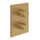 V&B V&B Fertigset Universal Taps& Fittings UP-THM, ek, m 2-W-Mengenreg., brush. gol-1